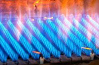 Trenhorne gas fired boilers